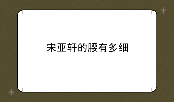 宋亚轩的腰有多细