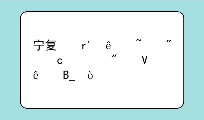 宁夏有人查到高考分数了吗？
