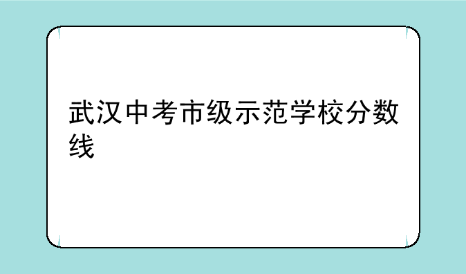 武汉中考市级示范学校分数线