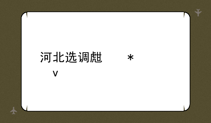 河北选调生报考条件