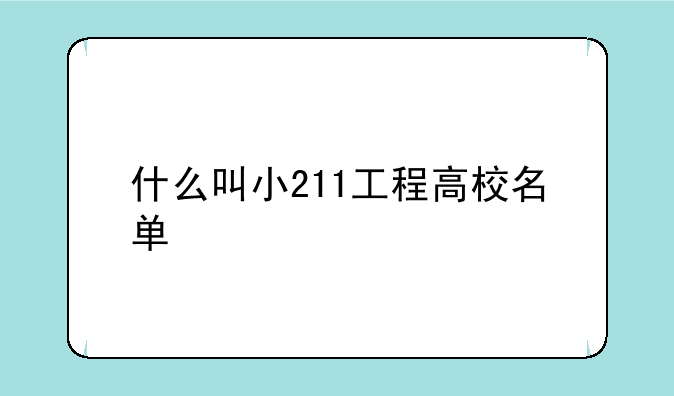 什么叫小211工程高校名单