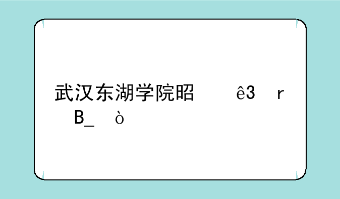 武汉东湖学院是二本吗？