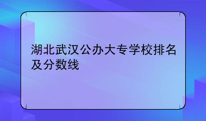 湖北武汉公办大专学校排名及分数线