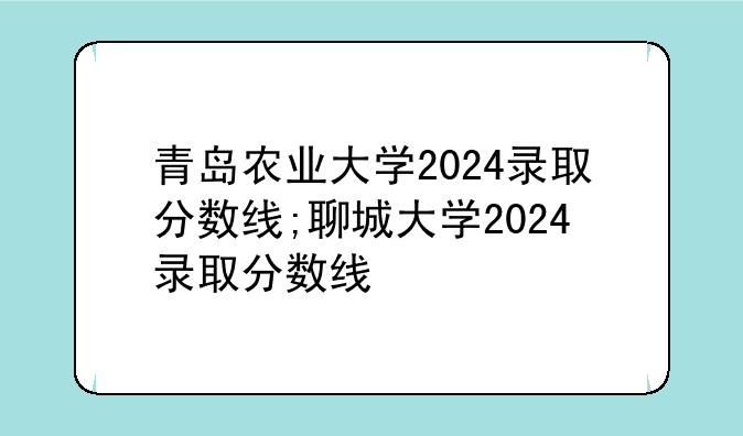 青岛农业大学2024录取分数线;聊城大学2024录取分数线